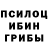 Псилоцибиновые грибы мицелий he how