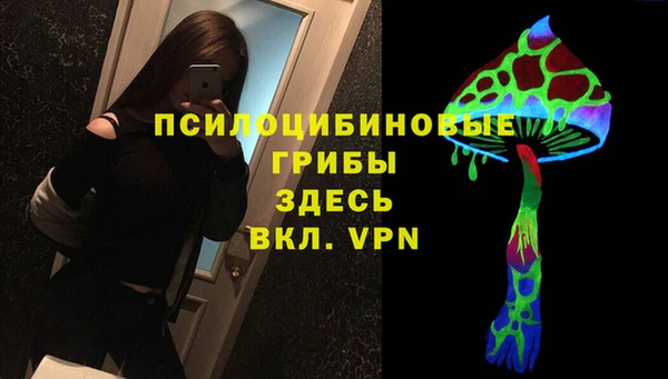 хмурый Алзамай