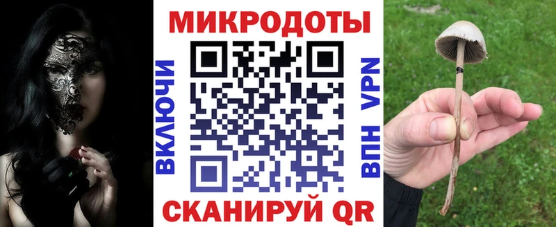 Галлюциногенные грибы мицелий  Купить где  Калининск 